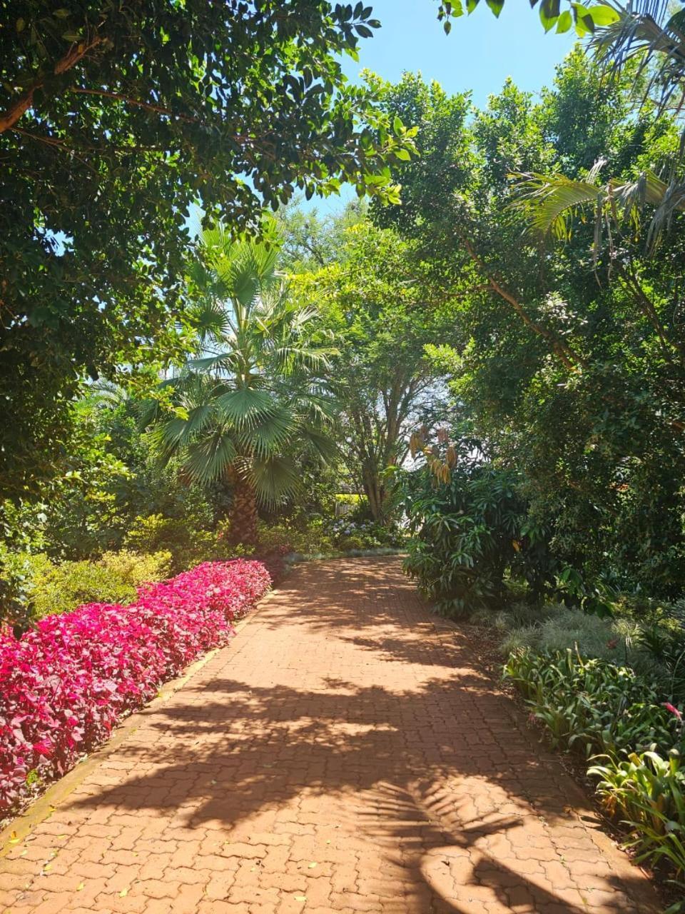 Tzaneen White House Lodge Exteriör bild